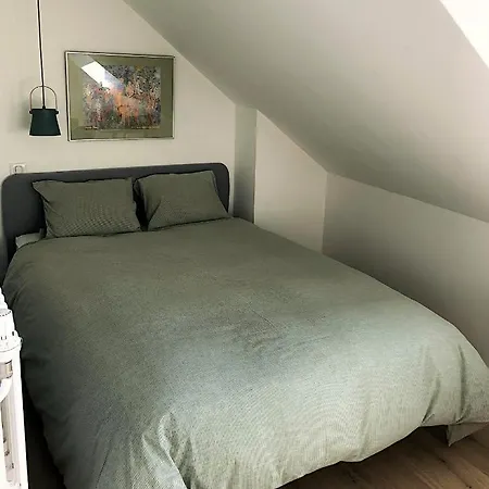 Elegant 3 Pieces - Parking * Thonon-les-Bains