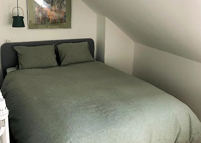Elegant 3 Pieces - Parking * Thonon-les-Bains